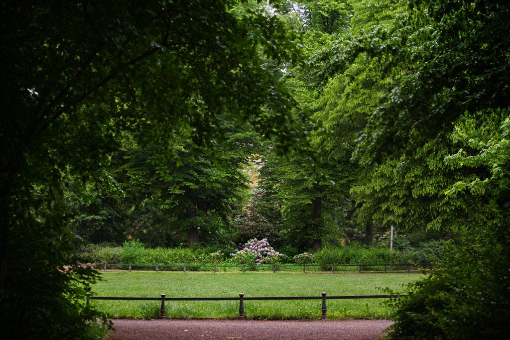 Blick auf eine grüne Wiese am Bonhoefferplatz, umrahmt von grünen Bäumen